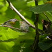 Colleen Becker Photo 21