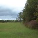 Deborah Latham Photo 12