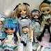 Alice Hill Photo 8