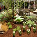 Cheryl Link Photo 24