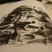 David Tomes Photo 13