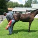 Brad Johnson Photo 8