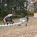 Rick Browning Photo 33