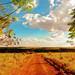 Linda Forte Photo 29