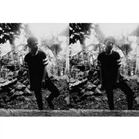 Stephen Albert Photo 11