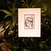 Christina Jacobsen Photo 9