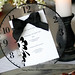 Tammy Mitchell Photo 5