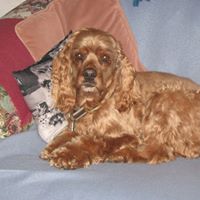 Betty Carlton Photo 30