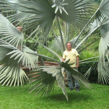 Pedro Barajas Photo 35