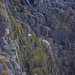 Cliff Lamb Photo 5