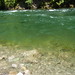 Allison Pool Photo 10