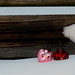 Anne Ruby Photo 13