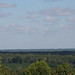 Jeff Busby Photo 37