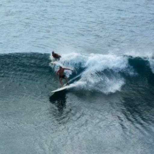 Neil O'Connor Photo 19