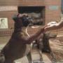 Christina Rawls Photo 15