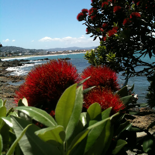 Clifton White Photo 43