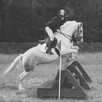 Annette Davison Photo 4
