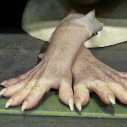 Sue Holmes Photo 4