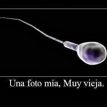 Andres Arboleda Photo 16