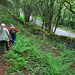 Lesley Woods Photo 18