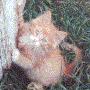 Shelly Olson Photo 37