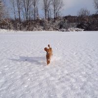 Jan Macdonald Photo 29