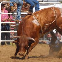 Jay Mccarthy Photo 28