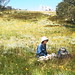 Annette Flowers Photo 21