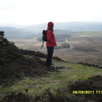 Janet Morton Photo 9