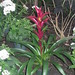 Fredrick Flowers Photo 10