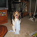 Laura Tobey Photo 15