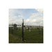 Susan Barnett Photo 43