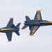 Craig Allison Photo 35