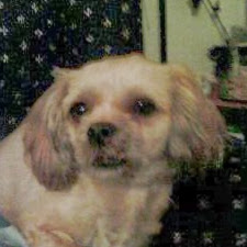 Janet Owens Photo 4