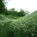 Thomas Burrell Photo 27