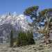 Rodney Lough Photo 10