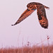 Jim Hunt Photo 34