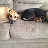 Rachel Gunter Photo 6