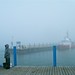 Misty Fisher Photo 18