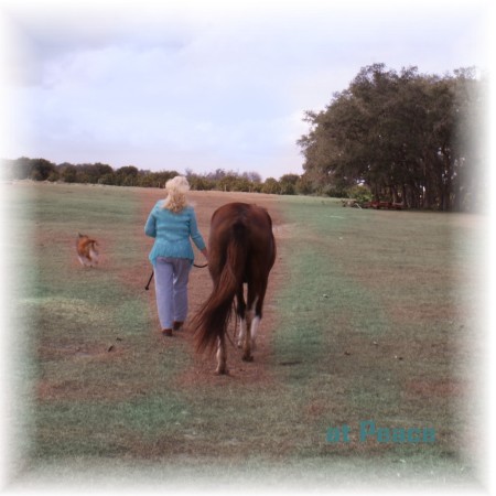 Bobbi Anderson Photo 9