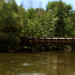 Ann Bridgers Photo 8
