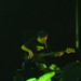 Suzanne Bass Photo 17
