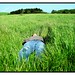Nick Field Photo 28