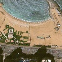 Ashraf Hamed Photo 7