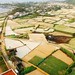 Quang Ly Photo 15
