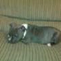 Antonette Taylor Photo 20