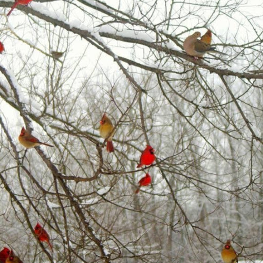 Jessica Conley Photo 37