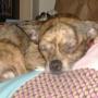 Deborah Hager Photo 6