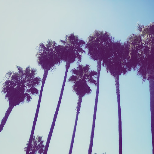 Xavier Rincon Photo 14