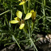 Joseph Vella Photo 21